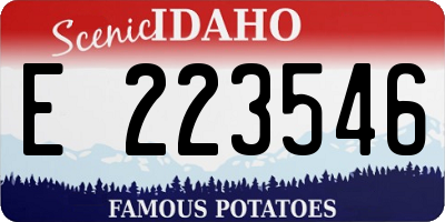 ID license plate E223546