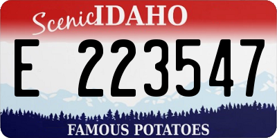 ID license plate E223547