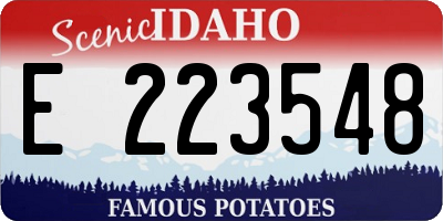 ID license plate E223548