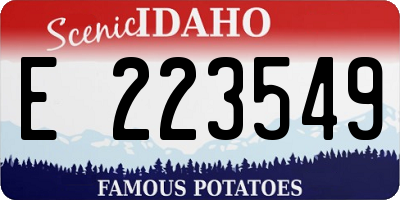 ID license plate E223549