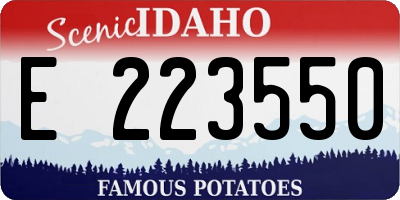 ID license plate E223550