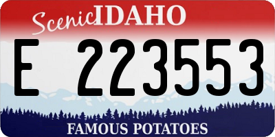 ID license plate E223553
