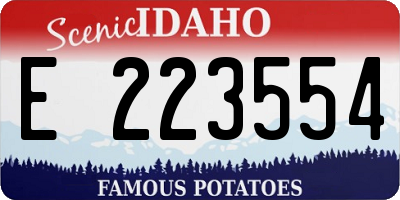 ID license plate E223554