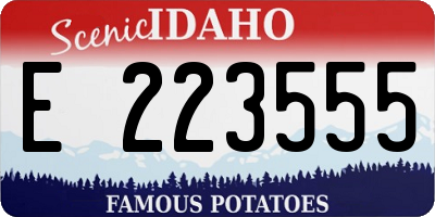 ID license plate E223555
