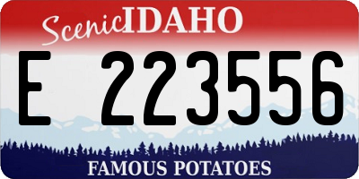 ID license plate E223556