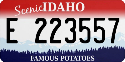 ID license plate E223557