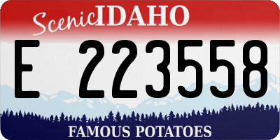 ID license plate E223558