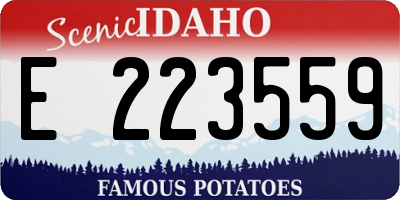 ID license plate E223559