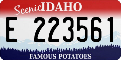 ID license plate E223561