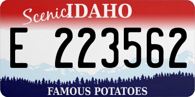 ID license plate E223562