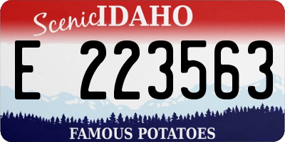 ID license plate E223563