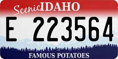 ID license plate E223564