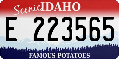 ID license plate E223565