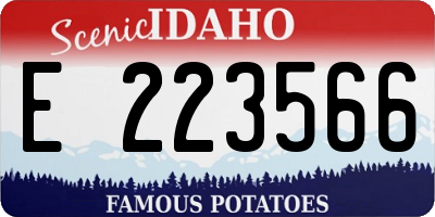 ID license plate E223566
