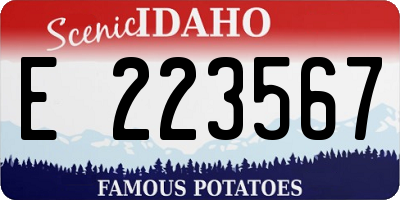 ID license plate E223567