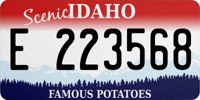 ID license plate E223568