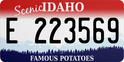 ID license plate E223569