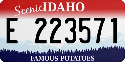 ID license plate E223571
