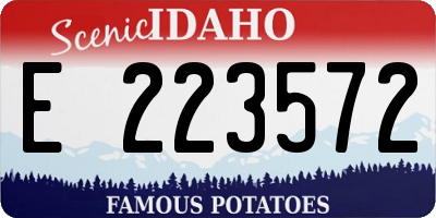 ID license plate E223572
