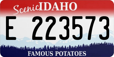 ID license plate E223573