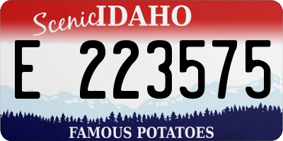 ID license plate E223575