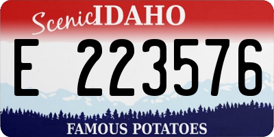 ID license plate E223576
