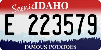 ID license plate E223579