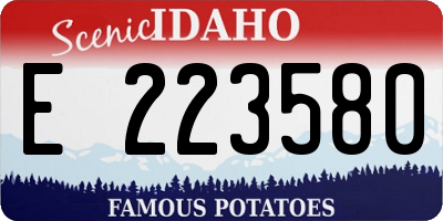 ID license plate E223580