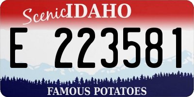 ID license plate E223581