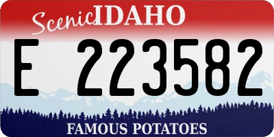 ID license plate E223582