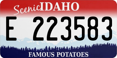 ID license plate E223583
