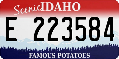 ID license plate E223584