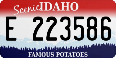 ID license plate E223586