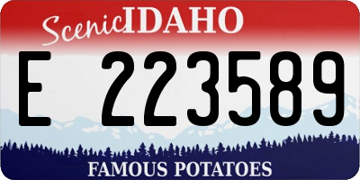 ID license plate E223589