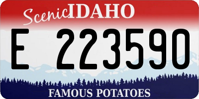 ID license plate E223590