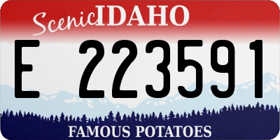 ID license plate E223591