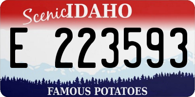 ID license plate E223593