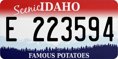 ID license plate E223594