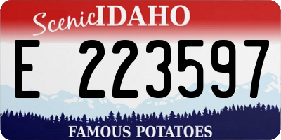 ID license plate E223597