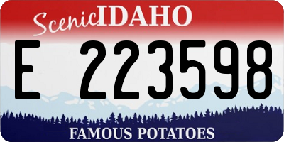 ID license plate E223598