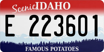 ID license plate E223601