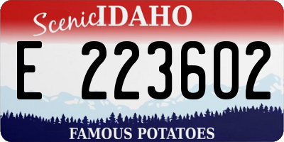 ID license plate E223602