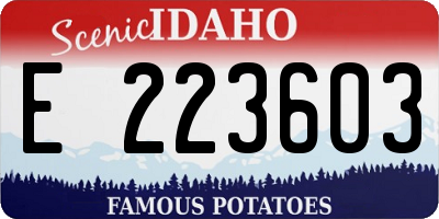 ID license plate E223603