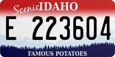 ID license plate E223604