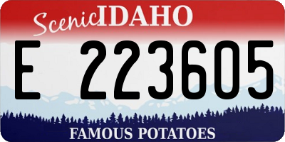 ID license plate E223605