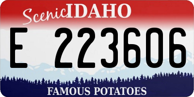 ID license plate E223606