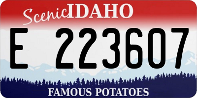 ID license plate E223607