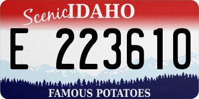 ID license plate E223610