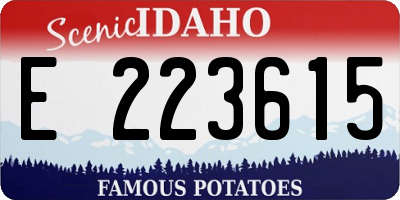ID license plate E223615