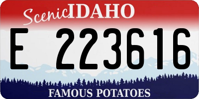 ID license plate E223616